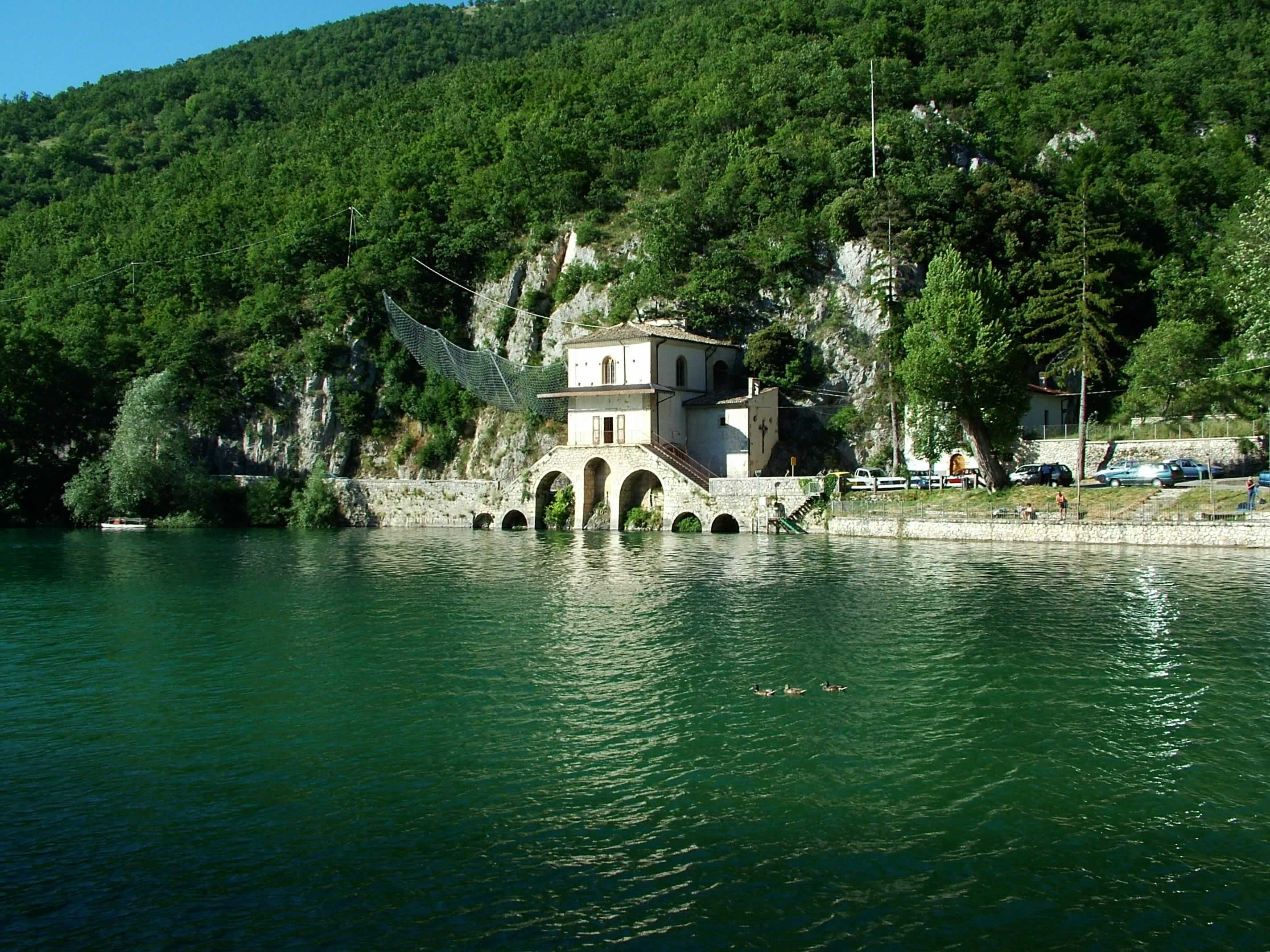 Immagine